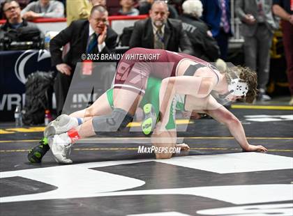 Thumbnail 2 in PIAA Boys AA/AAA Wrestling Championship photogallery.