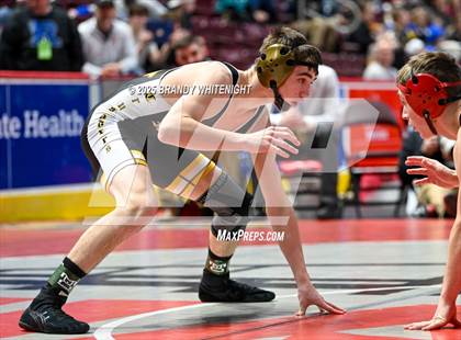 Thumbnail 3 in PIAA Boys AA/AAA Wrestling Championship photogallery.