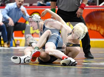 Thumbnail 2 in PIAA Boys AA/AAA Wrestling Championship photogallery.