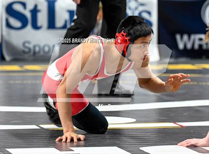 Thumbnail 1 in PIAA Boys AA/AAA Wrestling Championship photogallery.