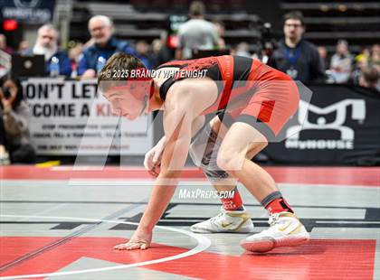 Thumbnail 3 in PIAA Boys AA/AAA Wrestling Championship photogallery.