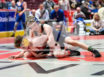 Thumbnail 3 in PIAA Boys AA/AAA Wrestling Championship photogallery.
