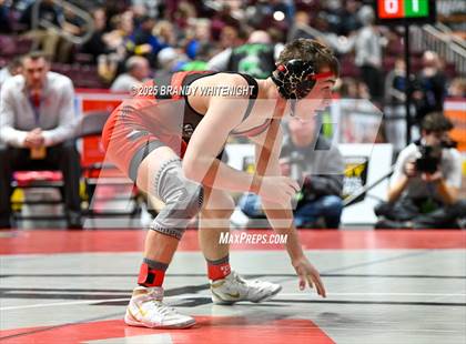 Thumbnail 1 in PIAA Boys AA/AAA Wrestling Championship photogallery.