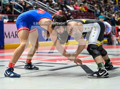 Thumbnail 2 in PIAA Boys AA/AAA Wrestling Championship photogallery.