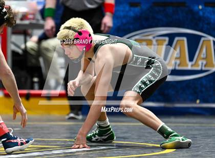 Thumbnail 1 in PIAA Boys AA/AAA Wrestling Championship photogallery.