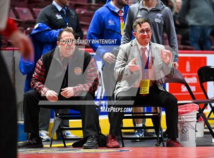 Thumbnail 3 in PIAA Boys AA/AAA Wrestling Championship photogallery.
