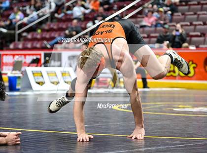 Thumbnail 3 in PIAA Boys AA/AAA Wrestling Championship photogallery.