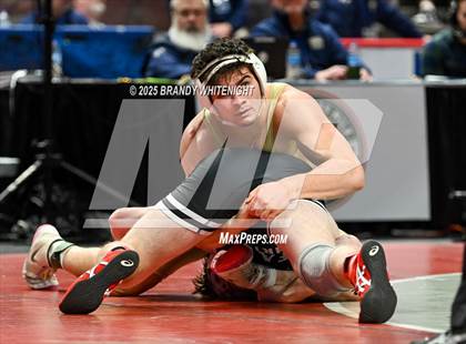 Thumbnail 2 in PIAA Boys AA/AAA Wrestling Championship photogallery.