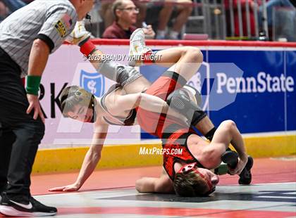 Thumbnail 2 in PIAA Boys AA/AAA Wrestling Championship photogallery.