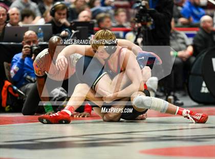 Thumbnail 2 in PIAA Boys AA/AAA Wrestling Championship photogallery.