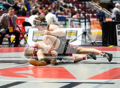 Thumbnail 3 in PIAA Boys AA/AAA Wrestling Championship photogallery.