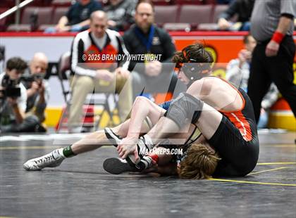 Thumbnail 3 in PIAA Boys AA/AAA Wrestling Championship photogallery.