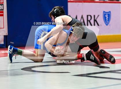 Thumbnail 1 in PIAA Boys AA/AAA Wrestling Championship photogallery.