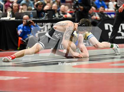 Thumbnail 3 in PIAA Boys AA/AAA Wrestling Championship photogallery.