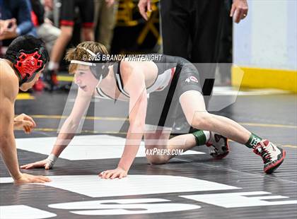 Thumbnail 3 in PIAA Boys AA/AAA Wrestling Championship photogallery.