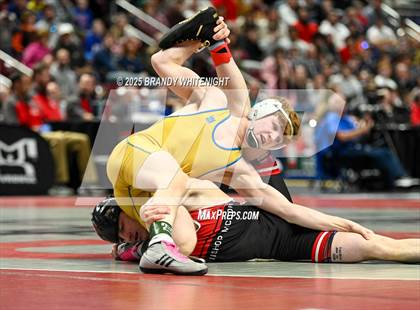 Thumbnail 2 in PIAA Boys AA/AAA Wrestling Championship photogallery.