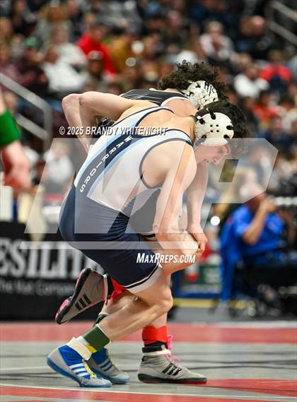 Thumbnail 3 in PIAA Boys AA/AAA Wrestling Championship photogallery.