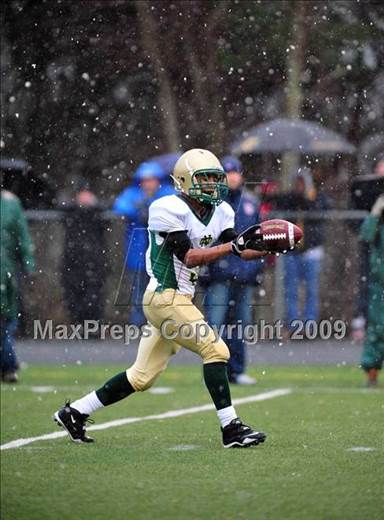 null - Photo 11