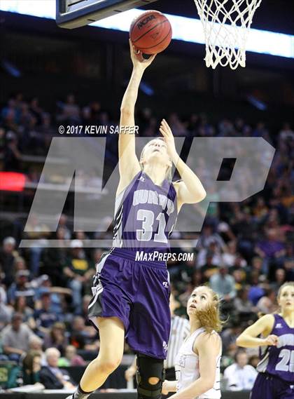 Thumbnail 1 in Paonia vs. Wray (CHSAA 2A Final) photogallery.