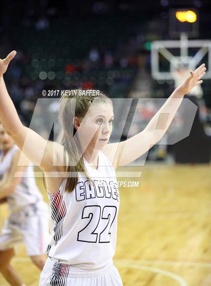 Thumbnail 1 in Paonia vs. Wray (CHSAA 2A Final) photogallery.