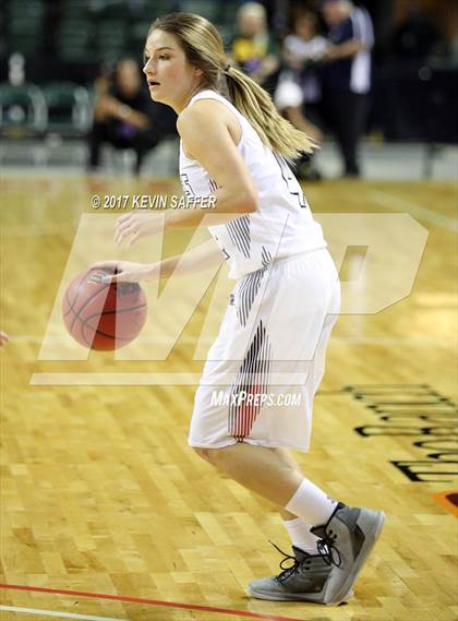 Thumbnail 1 in Paonia vs. Wray (CHSAA 2A Final) photogallery.