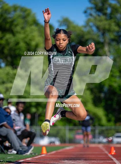 Thumbnail 1 in Tiger Relays photogallery.