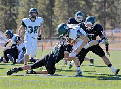 Thumbnail 3 in Summit @ Conifer photogallery.