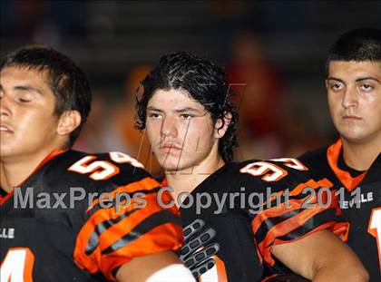 Thumbnail 2 in Segerstrom @ Roseville photogallery.
