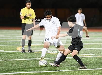 Thumbnail 1 in Evergreen Valley @ Branham photogallery.