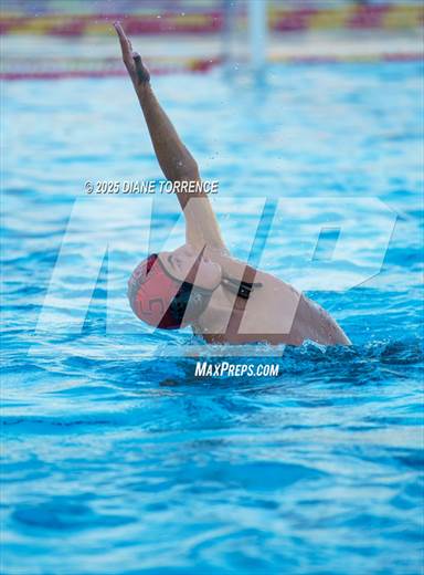 null - Photo 41