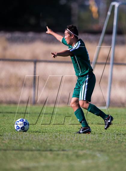 Thumbnail 2 in Ponderosa @ Placer photogallery.