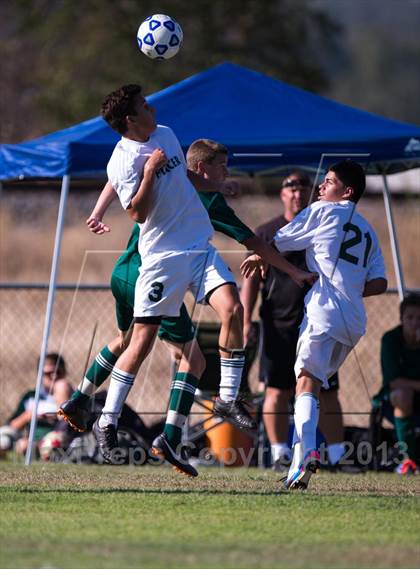 Thumbnail 1 in Ponderosa @ Placer photogallery.