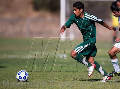 Thumbnail 3 in Ponderosa @ Placer photogallery.