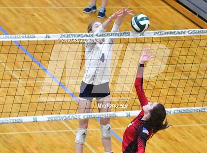 Thumbnail 1 in Assumption vs Barbe (Newman Tournament) photogallery.