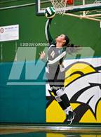 Photo from the gallery "Rosemont @ Argonaut"