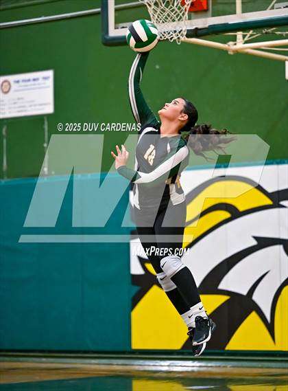 Thumbnail 3 in JV: Rosemont @ Argonaut photogallery.