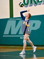 Photo from the gallery "Rosemont @ Argonaut"