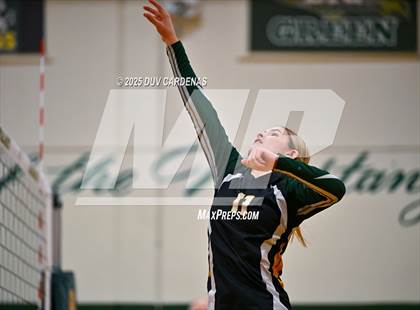 Thumbnail 3 in JV: Rosemont @ Argonaut photogallery.