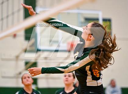 Thumbnail 2 in JV: Rosemont @ Argonaut photogallery.