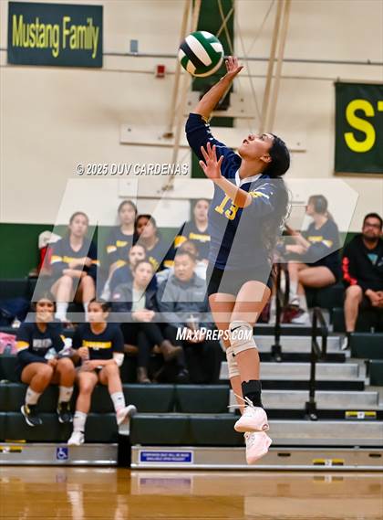 Thumbnail 3 in JV: Rosemont @ Argonaut photogallery.