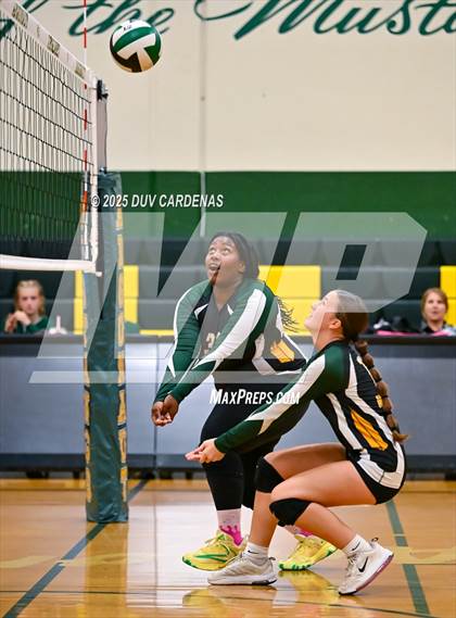 Thumbnail 1 in JV: Rosemont @ Argonaut photogallery.