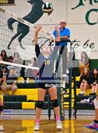 Photo from the gallery "Rosemont @ Argonaut"