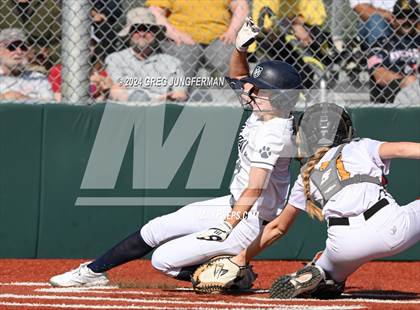 Thumbnail 2 in Marin Catholic @ Novato photogallery.