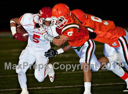 Thumbnail 3 in Corona vs. Poly photogallery.