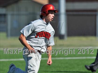 Thumbnail 2 in Holliday @ Ponder photogallery.