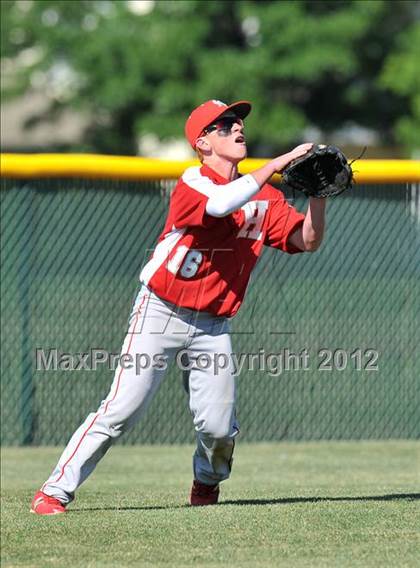 Thumbnail 1 in Holliday @ Ponder photogallery.