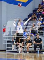 Photo from the gallery "Peaster @ Brock"