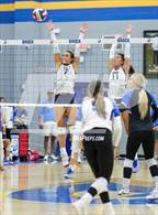 Photo from the gallery "Peaster @ Brock"