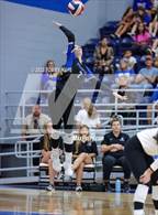 Photo from the gallery "Peaster @ Brock"