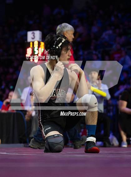 Thumbnail 1 in UIL Wrestling 5A Finals (106 lb - 138 lb) photogallery.